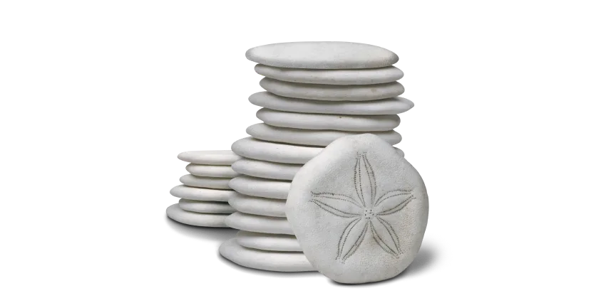 A stack of sand dollars.