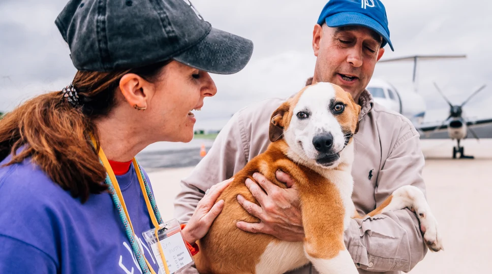 Pet owners with dog