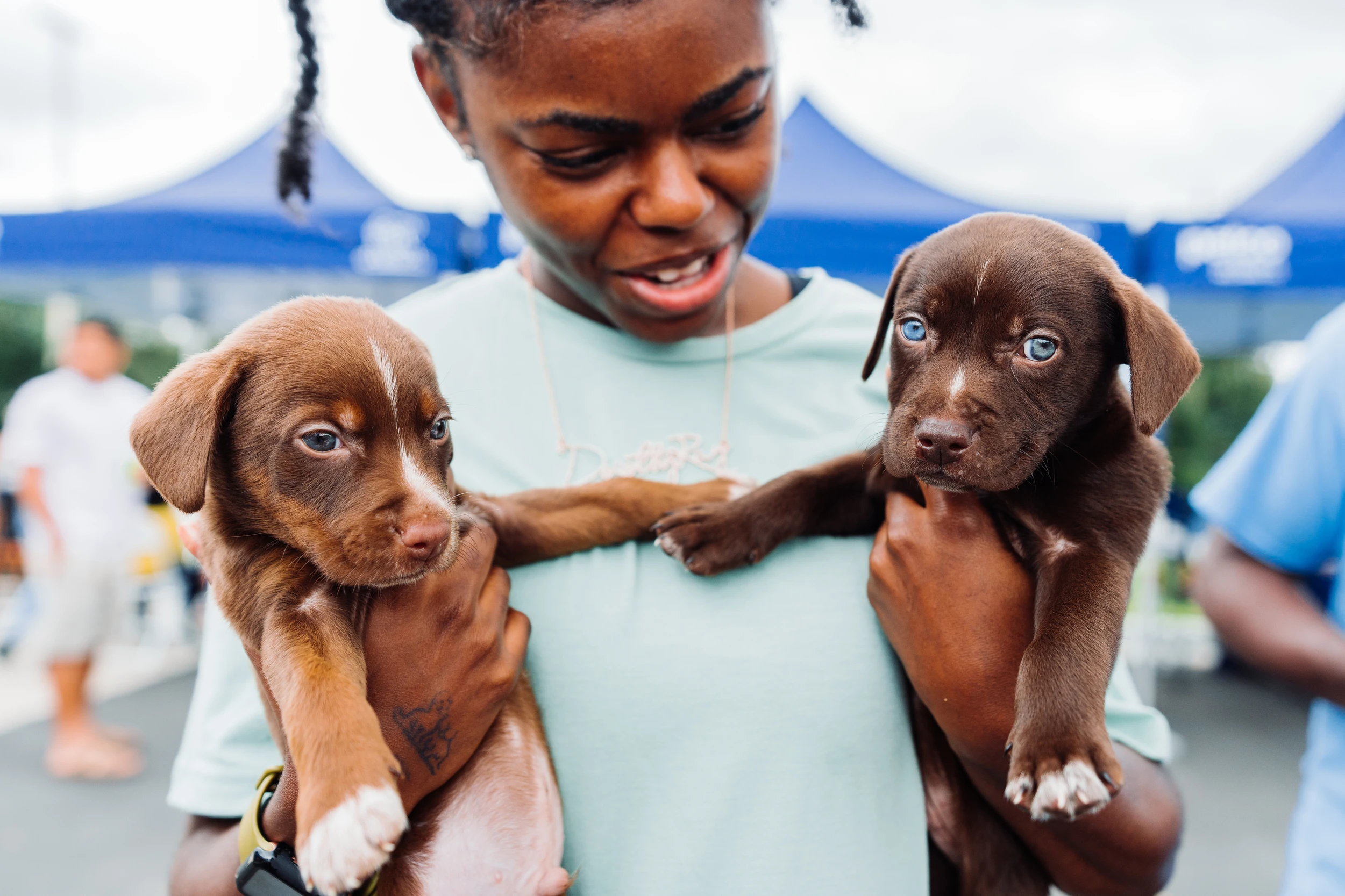adopt-about-hero