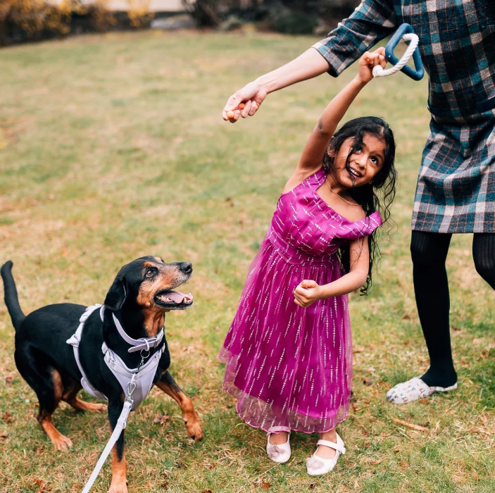 Kid playing with dog