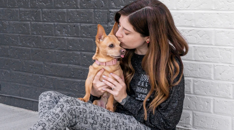 Woman kissing a pet