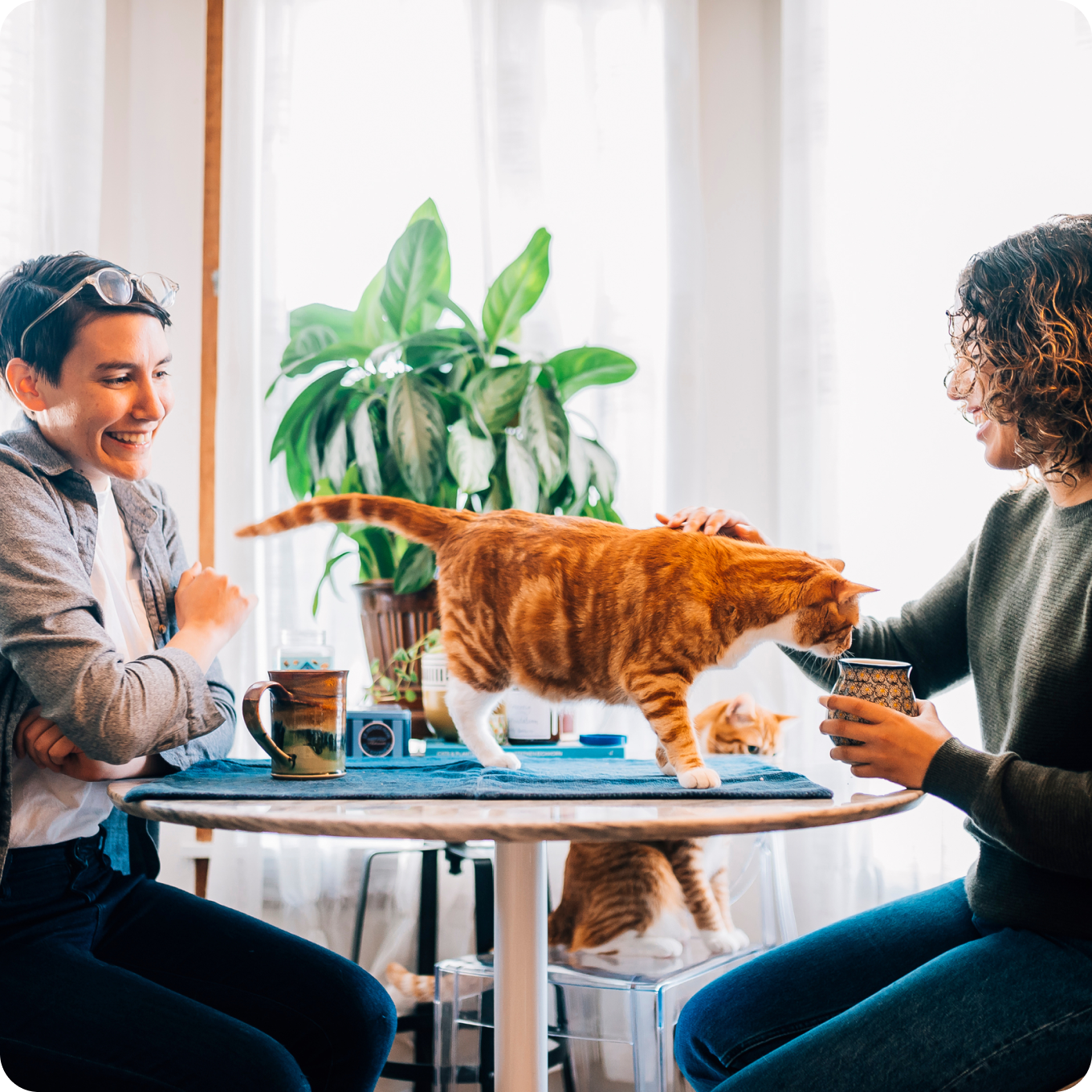 Image of Petco Love Adopt